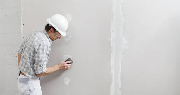 Best Forensic Mold Investigation  in Obetz, OH